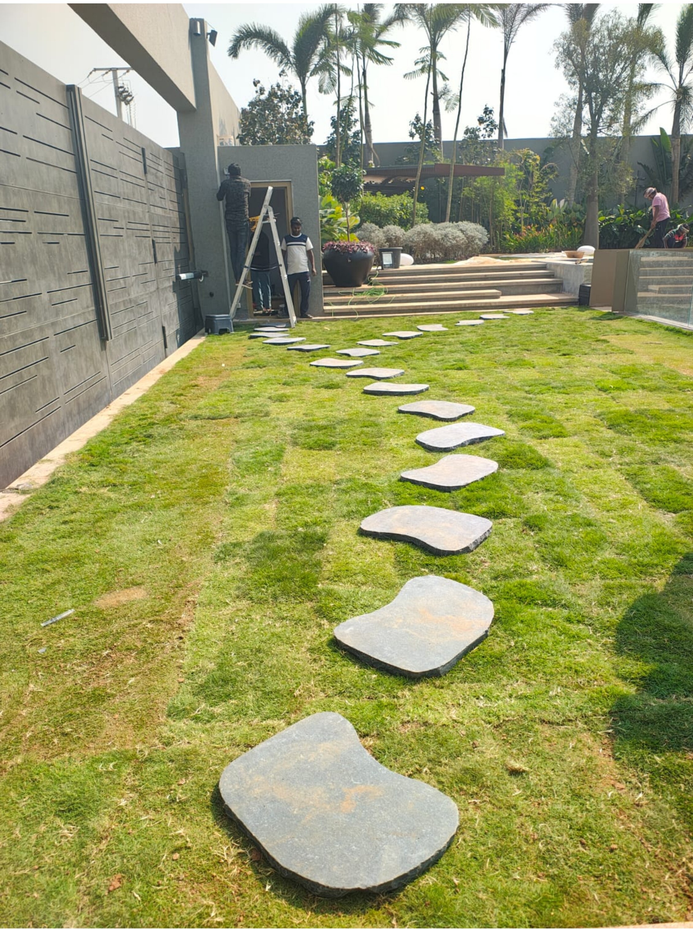 Stone Path Lawn