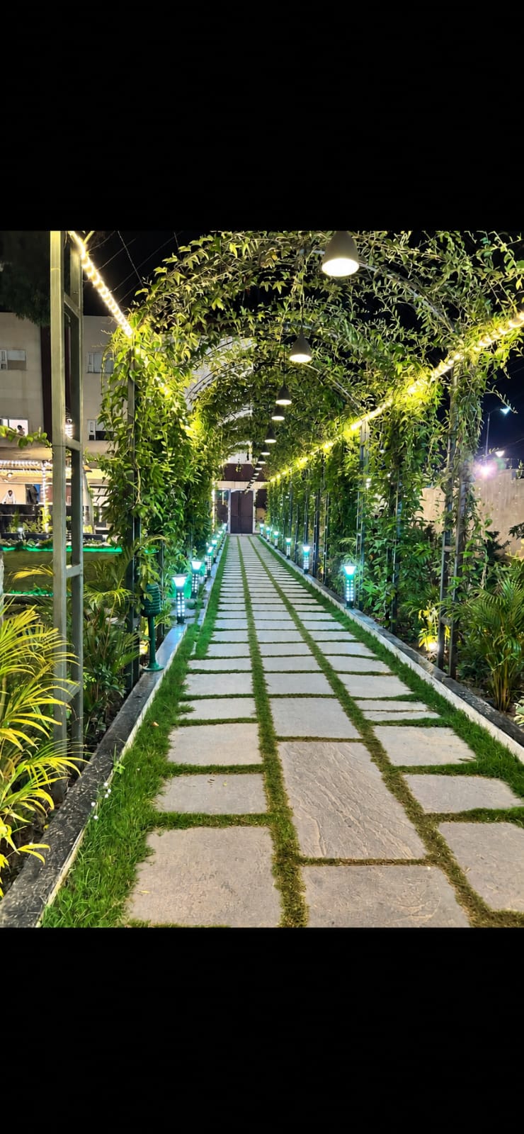 Curved Pathway Garden
