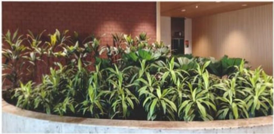 Curved Foliage Planter