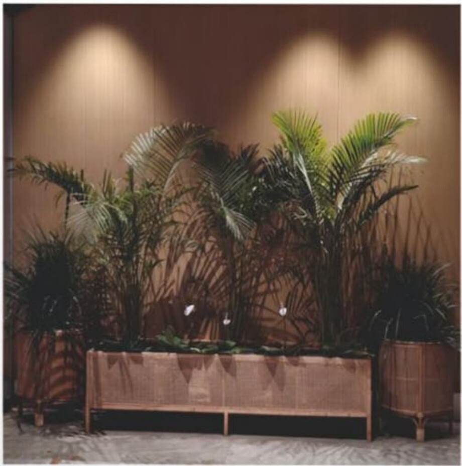 Statement Planter Wall