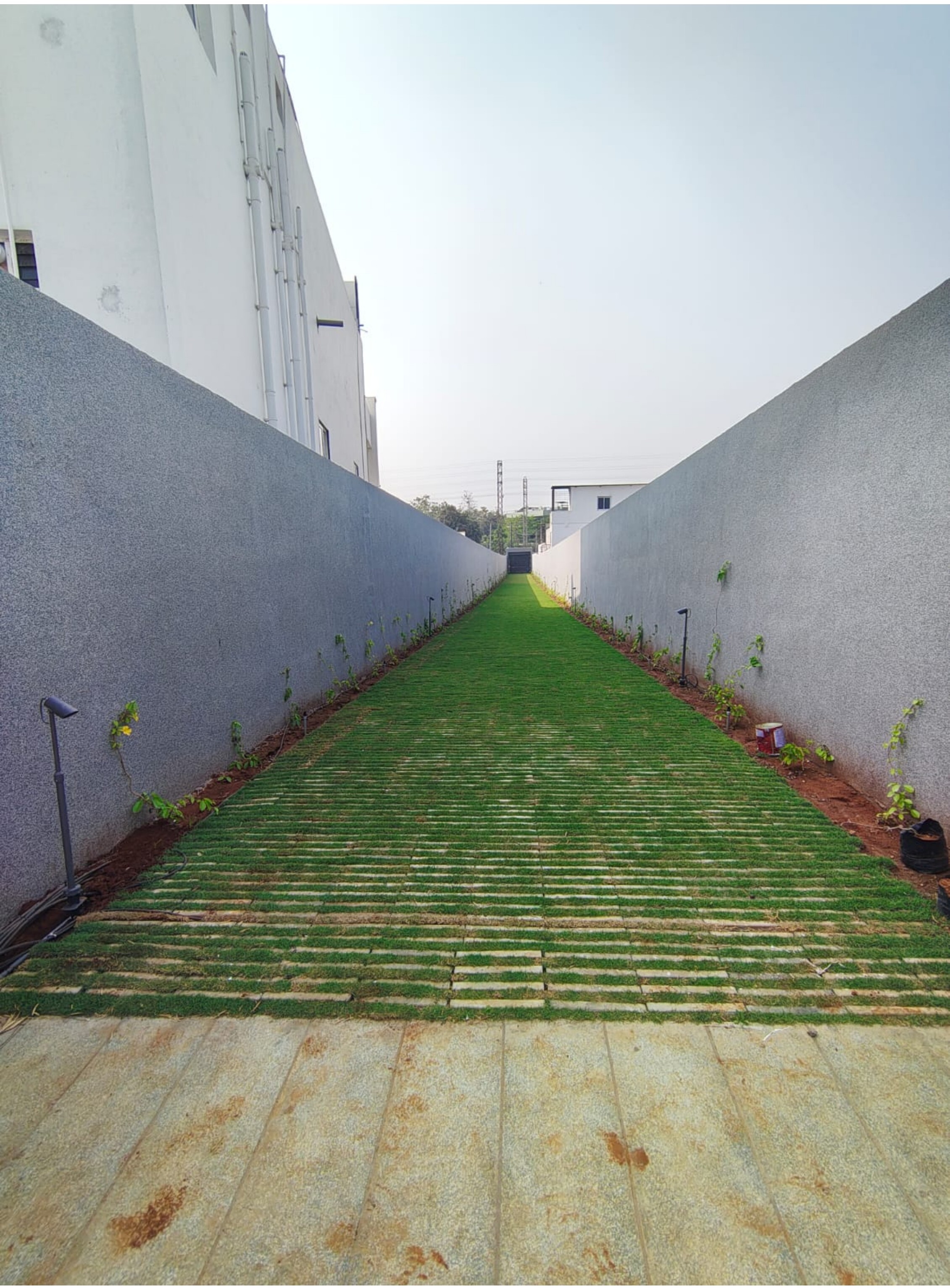Pathway & Hardscape